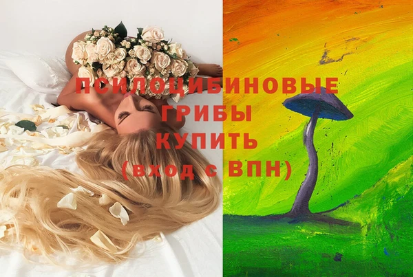 кристаллы Мегион