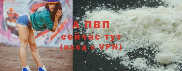 спайс Нея