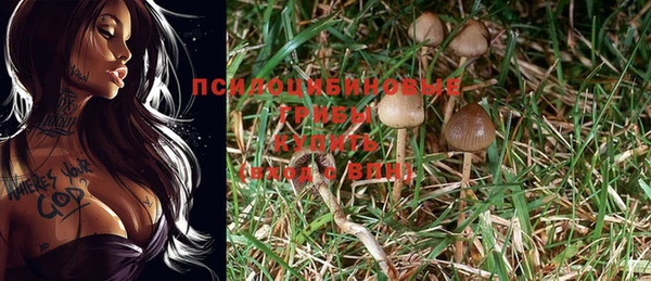 первитин Медногорск