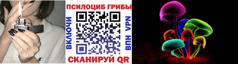 что такое   Кочубеевское  Галлюциногенные грибы Psilocybine cubensis 